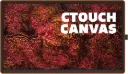 CTOUCH Canvas Orange front title RGB.webp