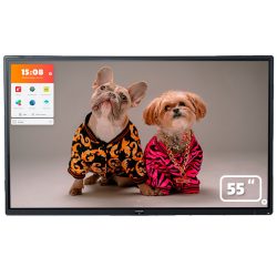 CTOUCH Riva R2 55 inch educatie high performance snelste touchscreen digibord voor school tvi tbi ecran interactif lesbord